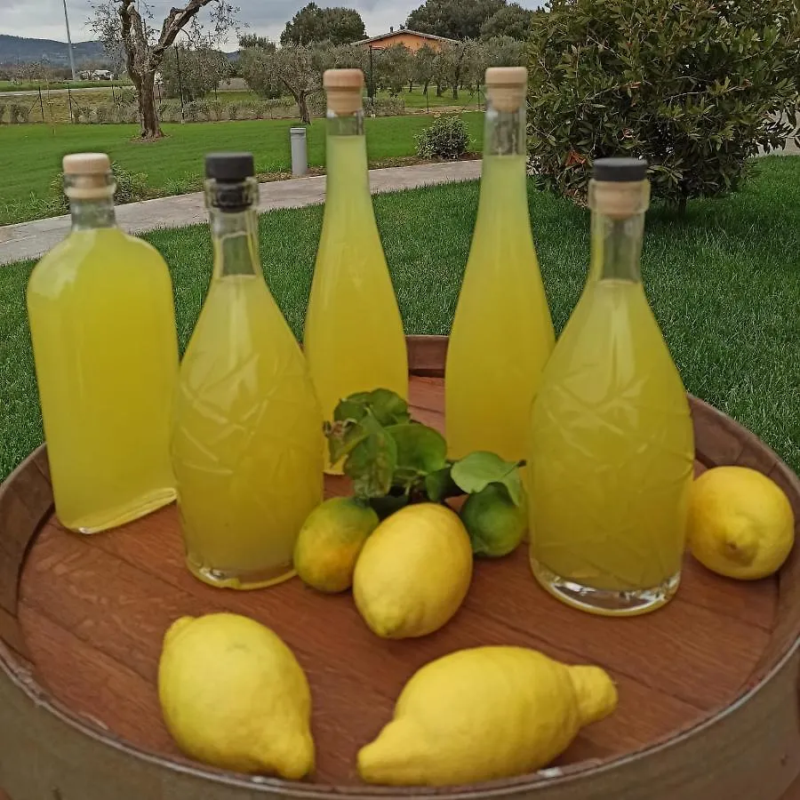 Sogni D'Orto Villa Castiglione della Pescaia